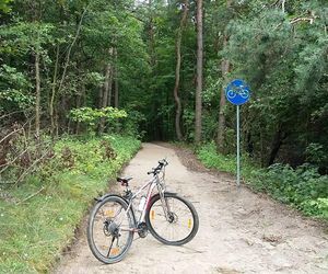 Nowa ścieżka rowerowa wokół malowniczego jeziora w Olsztynie. Mieszkańcy czekali na nią latami