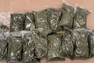 Policjanci z Koszalina przechwycili narkotyki warte pół miliona złotych