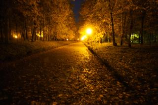 Cmentarz na poznańskiej Cytadeli nocą