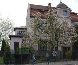 Cieszyński Szlak Kwitnącej Magnolii 