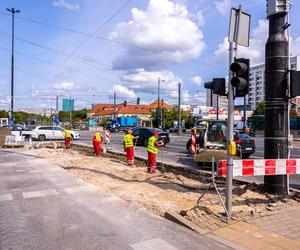 Prace przy zazielenianiu pl. Bankowego w Warszawie