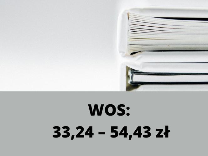 Ile kosztują korepetycje? Gdzie trzeba dać najwięcej i za jakie przedmioty? 