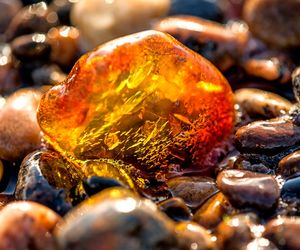 Bursztyn - właściwości lecznicze. Jak powstaje bursztyn?