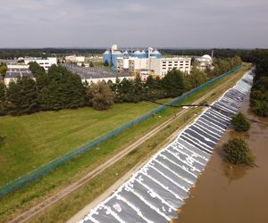 Wrocław Janówek - rozlana Bystrzyca i oczyszczalnia ścieków