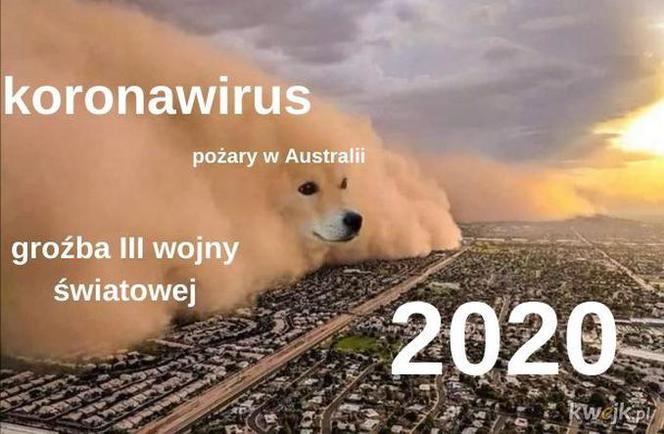 Koronawirus dotarł do Polski. Jest pierwszy przypadek. Zobacz najlepsze memy