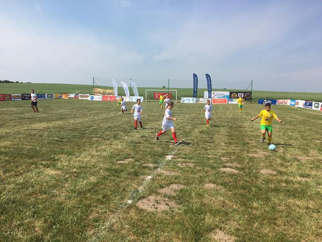 Mini Mundial 2018: Pargowo