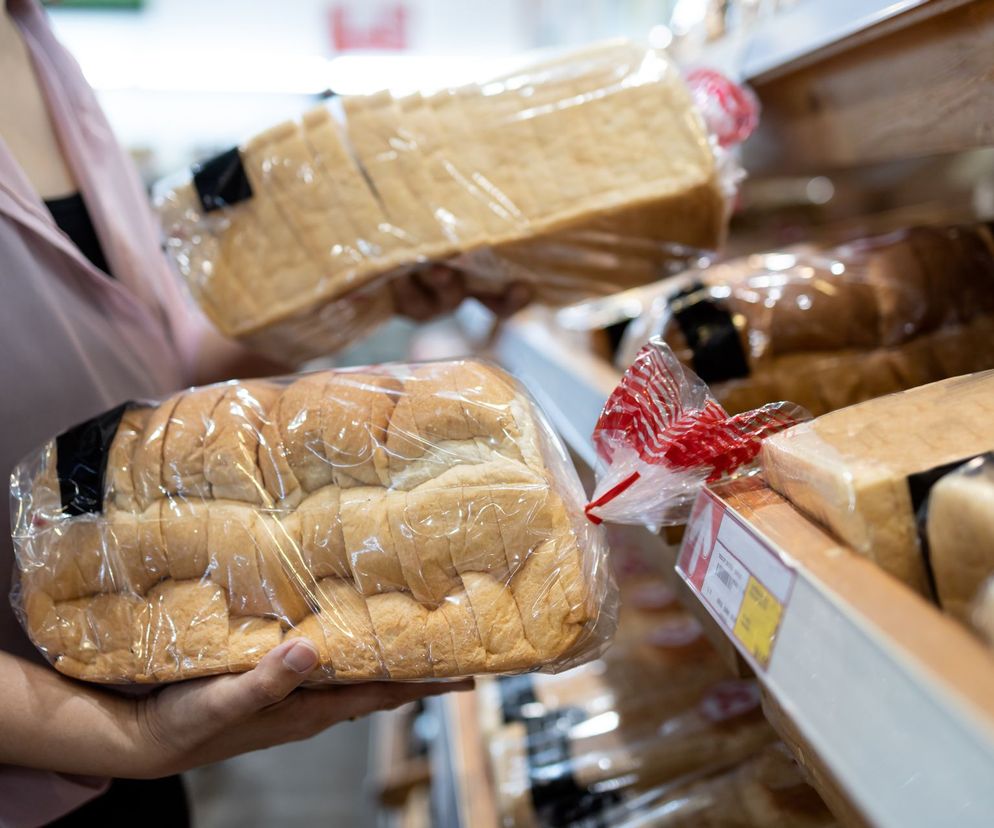 żywność z owadów