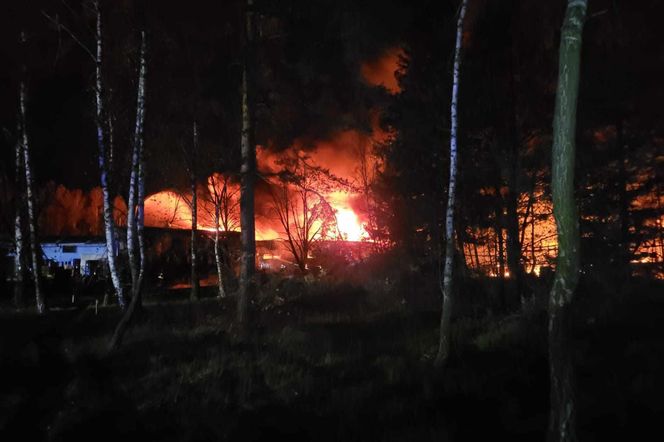 Ogromny pożar koło Tomaszowa Mazowieckiego