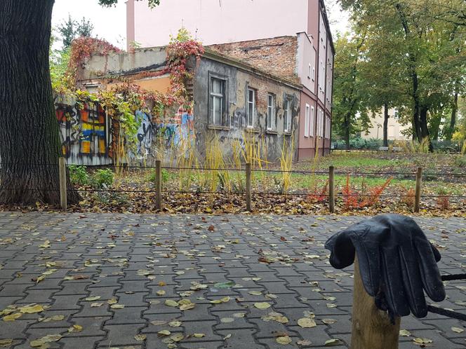 Rośliny posadzone, brakuje tylko kilku elementów. Skwer dr. Kuźniaka w Lesznie prawie gotowy