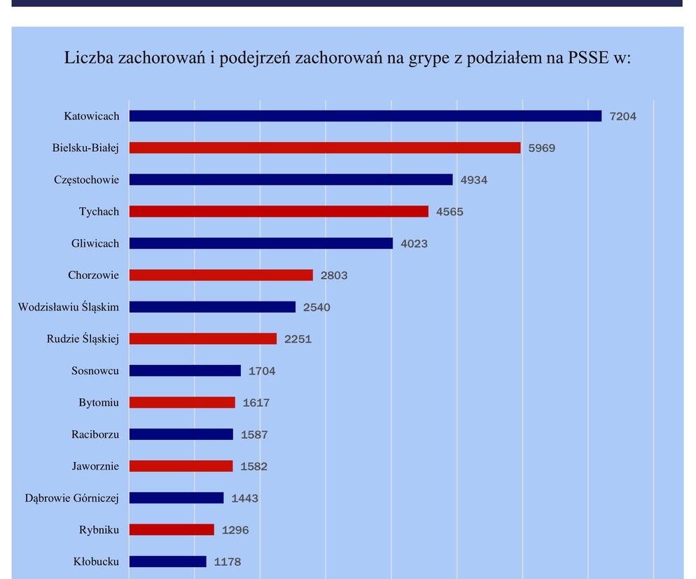 Grypa atakuje Śląsk. Wskaźniki zachorowań 1-7 stycznia 2023