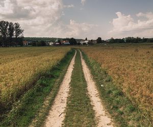 To najpiękniejsza wieś w woj. warmińsko-mazurskim. Zwyciężyła w ważnym konkursie