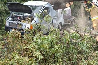 Gwałtowna burza nad Dolnym Śląskiem. Gradobicie, ulewa i mnóstwo zniszczeń