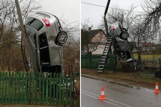 VW zatrzymał się na słupie… pionowo! Jak on to zrobił?! [ZDJĘCIA]