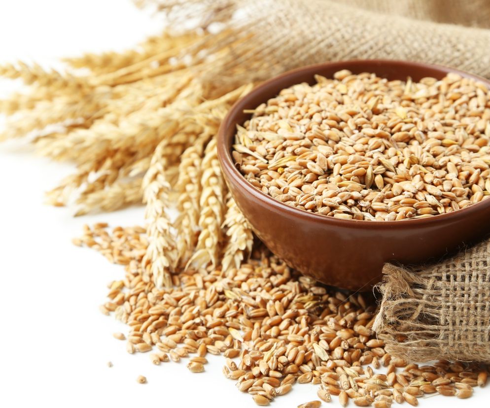 PSZENICA DURUM. Dlaczego makaron durum jest zdrowszy?