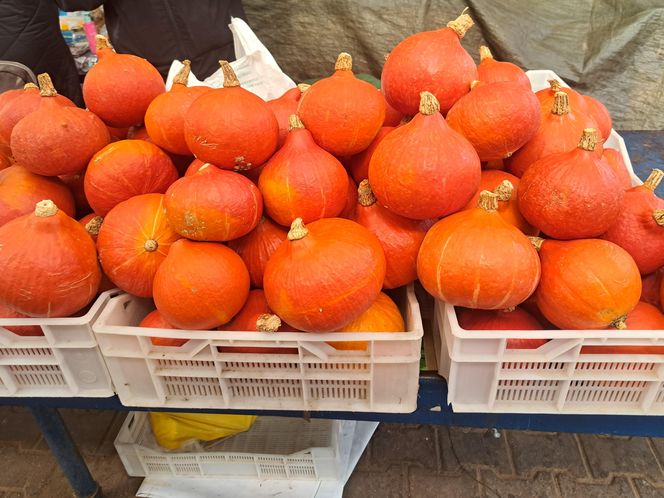 Ceny dyni 2025 na Nowym Kleparzu i Starym Kleparzu w Krakowie