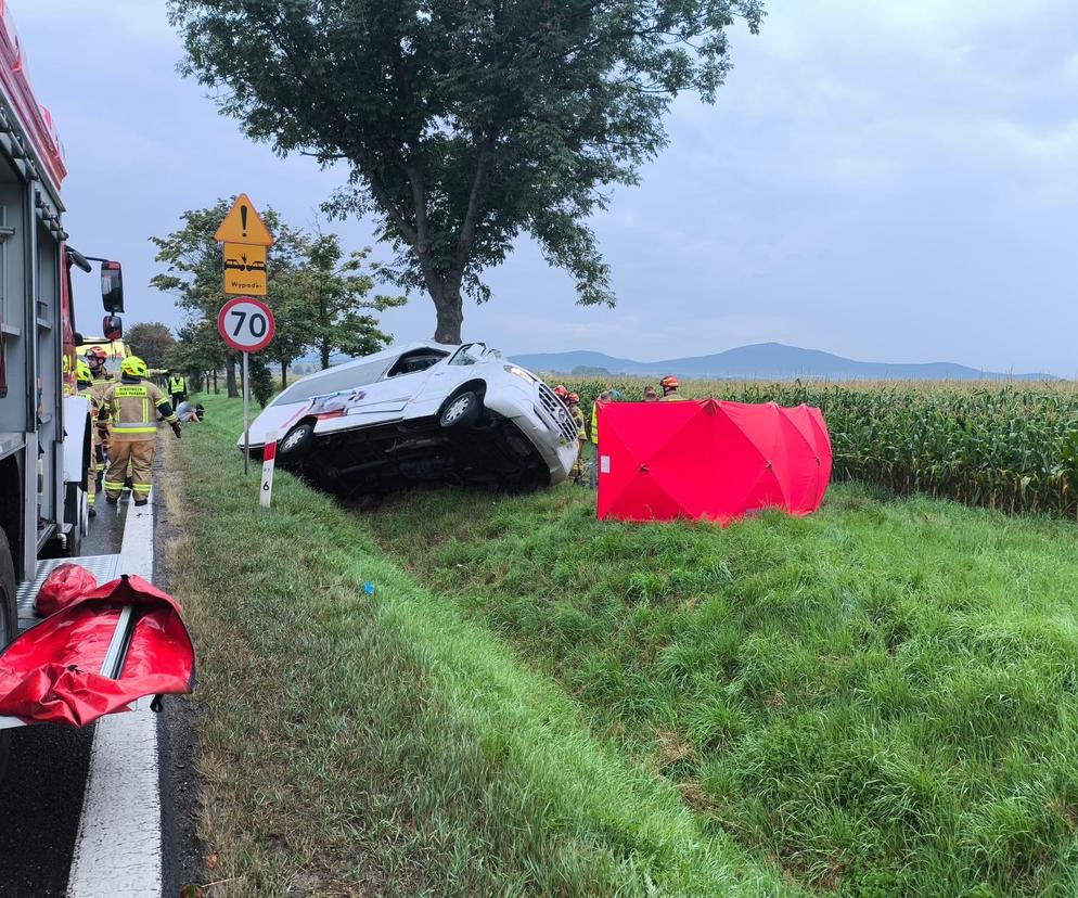 Bus uderzył w drzewo koło Wrocławia. Dwie osoby nie żyją