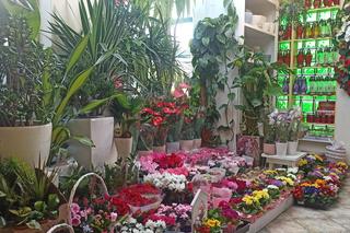 Przygotowania olsztyńskich kwiaciarni do Dnia Kobiet