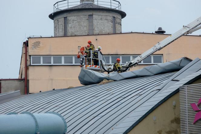 Burze w rejonie Oświęcimia. Blisko 200 interwencji strażaków