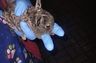 Wiele osób ruszyło z pomocą 