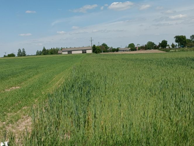 Mieszkańcy protestują: nie damy zabić się asfaltem. „Boję się o życie swojego półrocznego synka”