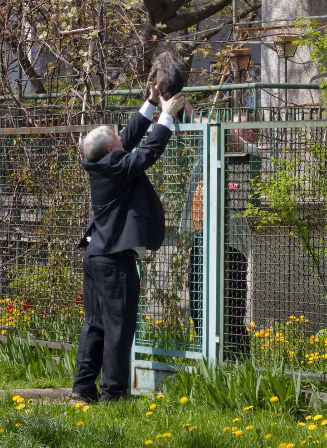 Kaczyński z kotem 