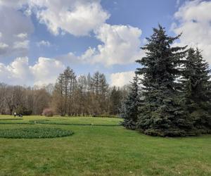 Łódzki Ogród Botaniczny obchodzi 50-lecie. To miejsce rozkwita i czeka na gości