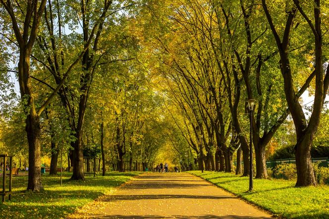 Park Śląski jesienią jest naprawdę piękny