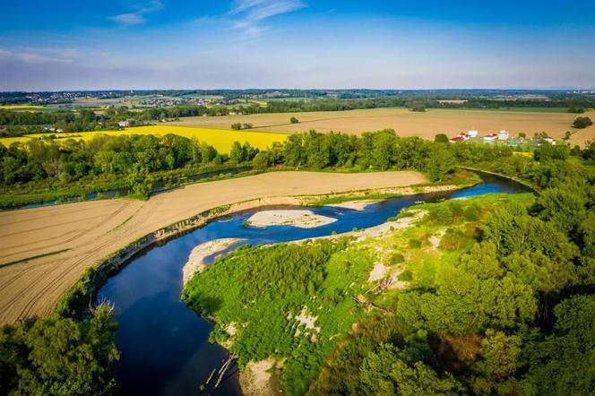 Graniczne Meandry Odry - piękny zakątek przyrody przy granicy z Czechami ZDJĘCIA