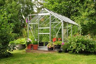 Jaka szklarnia do ogrodu jest najlepsza? Jak uprawiać rośliny w szklarni?