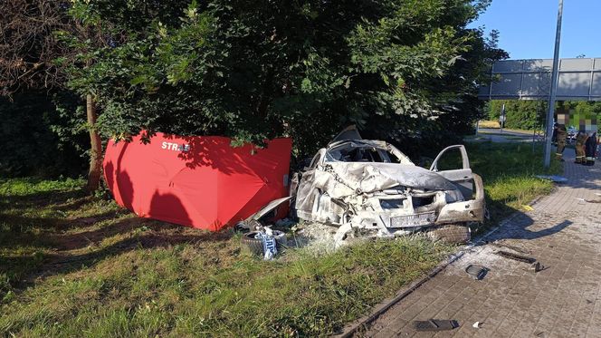 Tragedia pod Gnieznem! BMW wypadło z drogi, nie żyje 22-letni kierowca