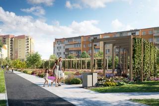 Na osiedlu Zawadzkiego w Szczecinie powstanie nowy park. Posadzą ponad 300 drzew