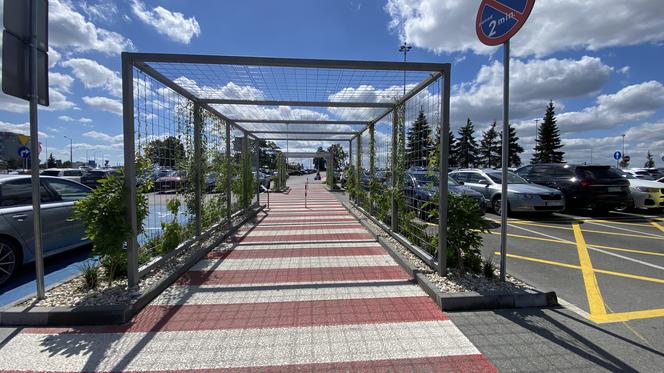 Zazieleniony teren parkingu i pasażu przed terminalami Katowice Airport