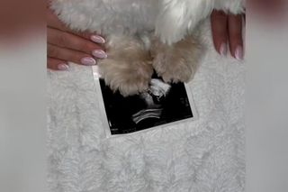 Klaudia i Valentyn z Rolnik szuka żony spodziewają się dziecka! Wiadomość przekazali niespełna dwa tygodnie po ślubie