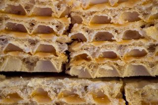 Wafle