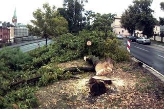 Bydgoszcz: Rozpoczęła się budowa buspasa na Wałach Jagiellońskich [ZDJĘCIA]