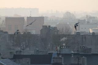 Trujący pył nad Łodzią i regionem! Jest alert Wojewódzkiego Centrum Zarządzania Kryzysowego