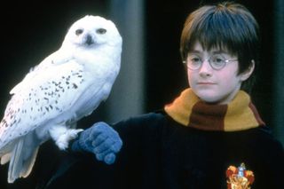 Wiemy, czym serialowy Harry Potter będzie różnił się od filmów. Fani książek będą zadowoleni