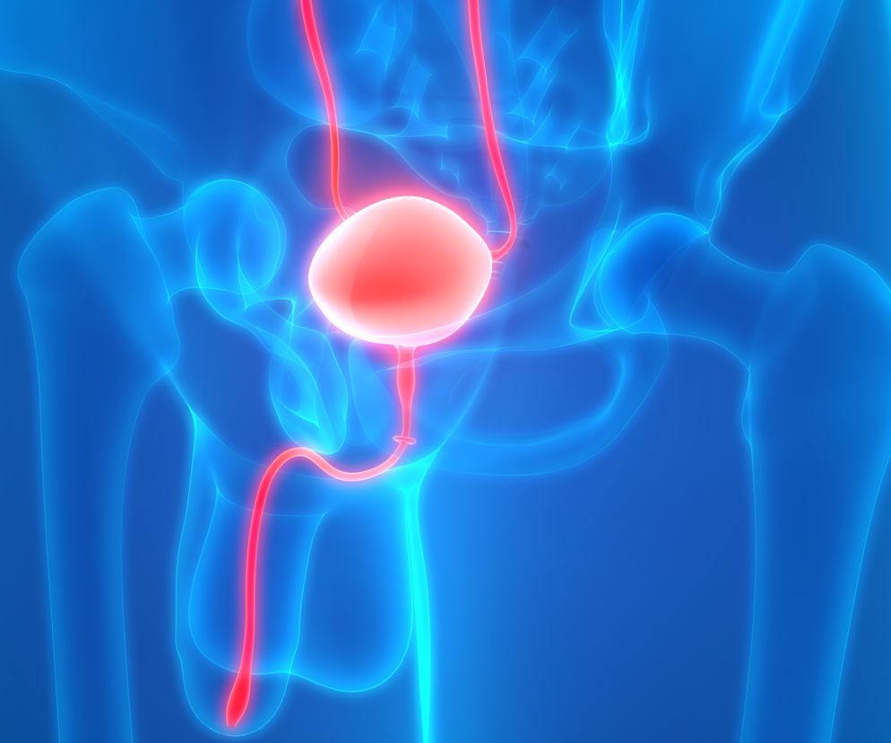 Cewka moczowa męska