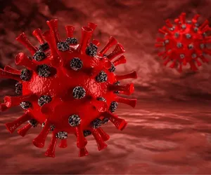 Atakuje nowy wariant koronawirus Pirola. Opublikowano pierwsze wyniki badań