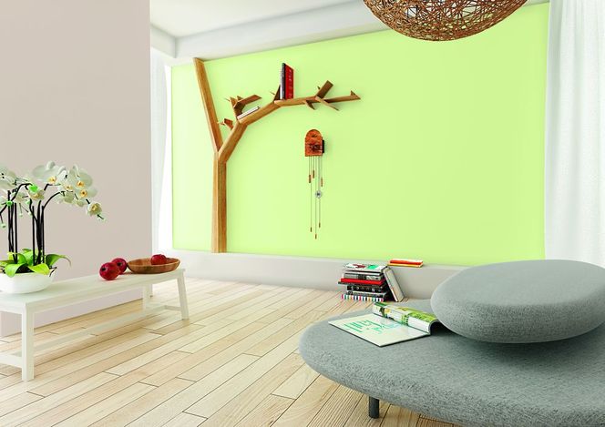 Jakie kolory łączyć z zielonym - porady oraz ceny farb!