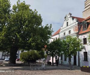 Rynek i mury miejskie w Byczynie w woj. opolskim