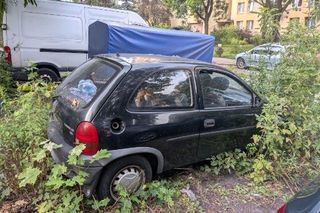 Kaczki uwięzione w blaszanej pułapce