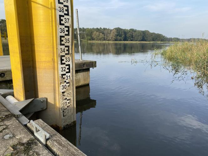 Rzeka Odra w okolicy Lasu Odrzańskiego