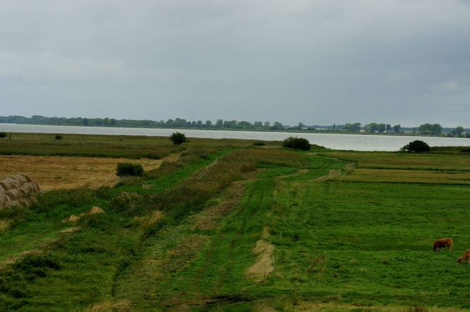 Jezioro Miedwie
