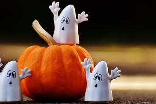 Halloween 2021: co robić z dziećmi, przyjaciółmi, rodziną? Najlepsze pomysły na wieczór 31 października! 