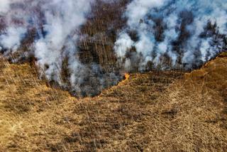 Pożar w Biebrzańskim Parku Narodowym. Zdjęcia z lotu ptaka pokazują skalę katastrofy [GALERIA]