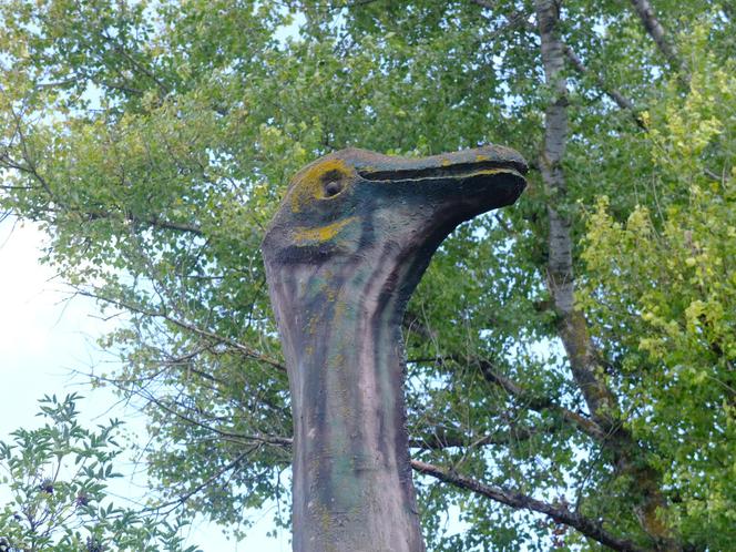 Dolina Dinozaurów na Podzamczu w Łęcznej. Przerażone konie stawały dęba