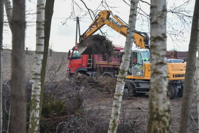 Konotopie. Budowa pomnika Matki Boskiej. Miliarderzy i marszałek województwa na wmurowaniu aktu erekcyjnego [ZDJĘCIA].