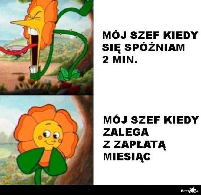 Memy o pracy