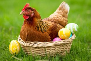 Życzenia i kartki wielkanocne 2025. Najlepsze pomysły za darmo